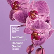 Radiant Orchid – Color of the Year
