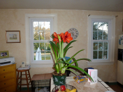 before-and-after23